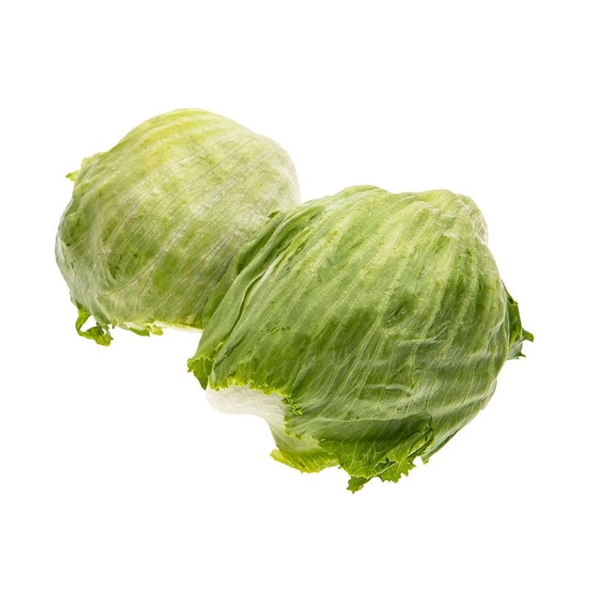 Lettuce - Iceberg