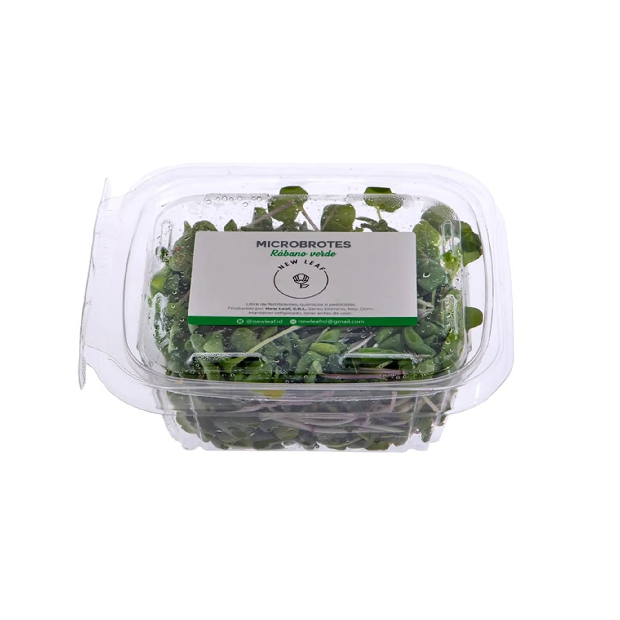 Radish microgreens