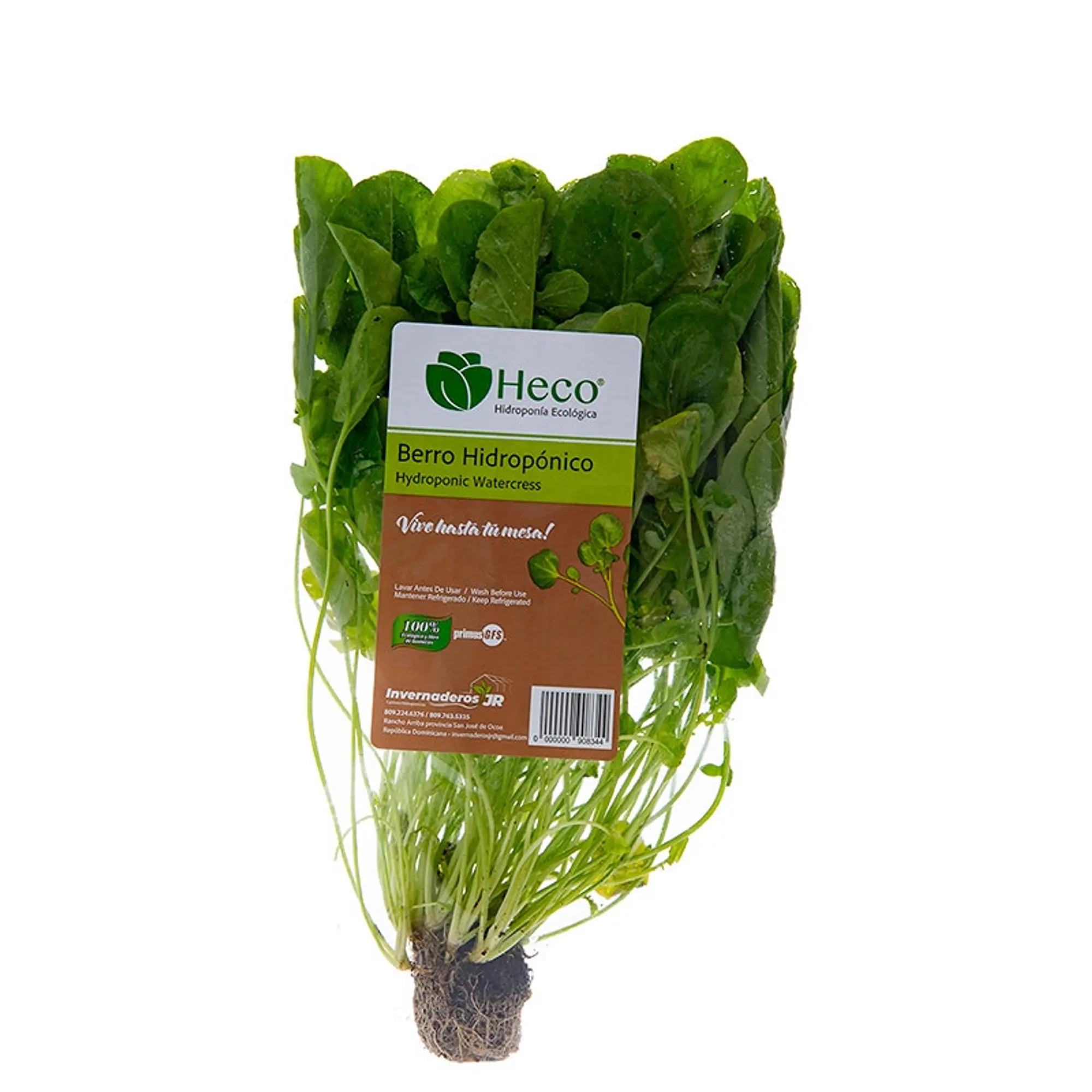 Watercress