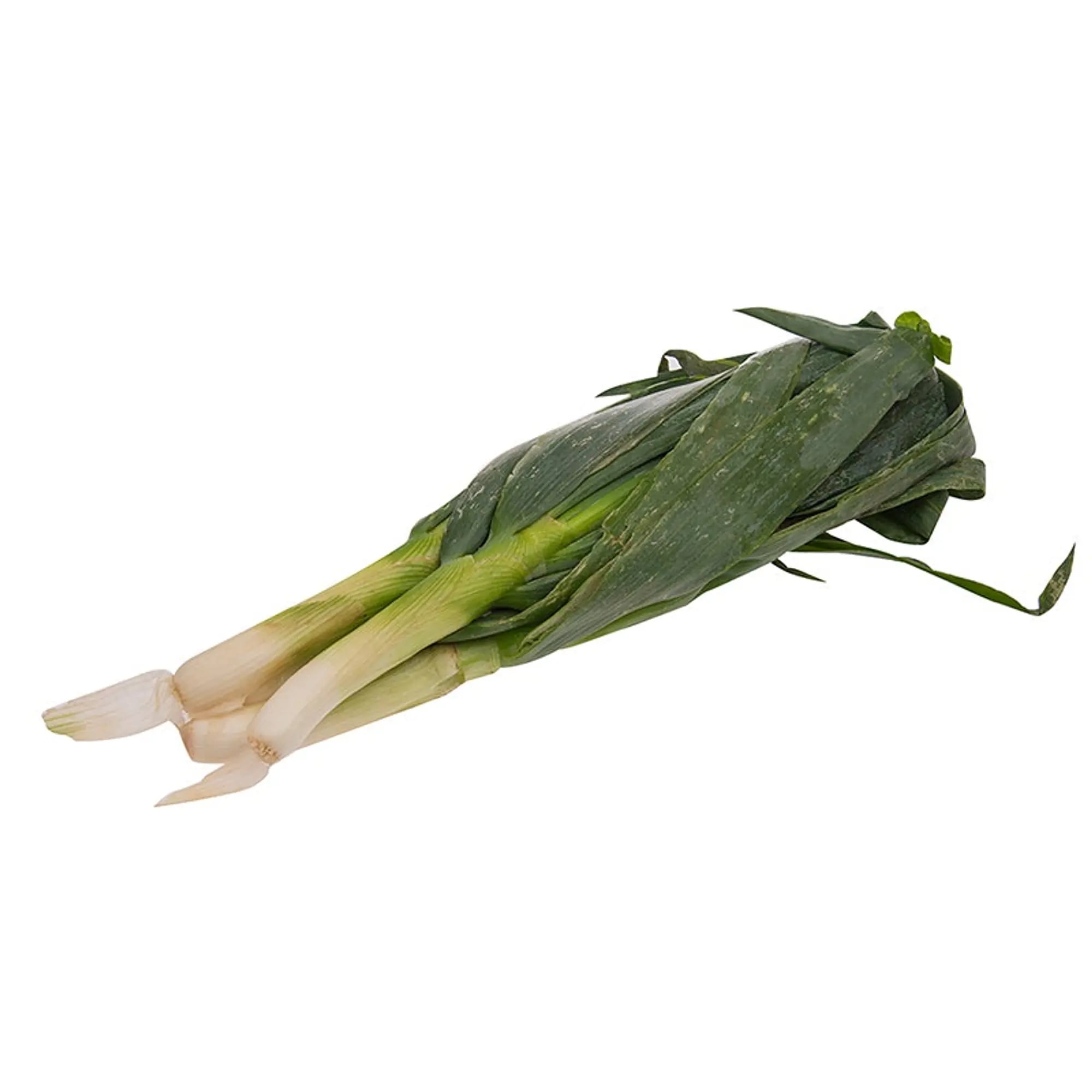 Leek