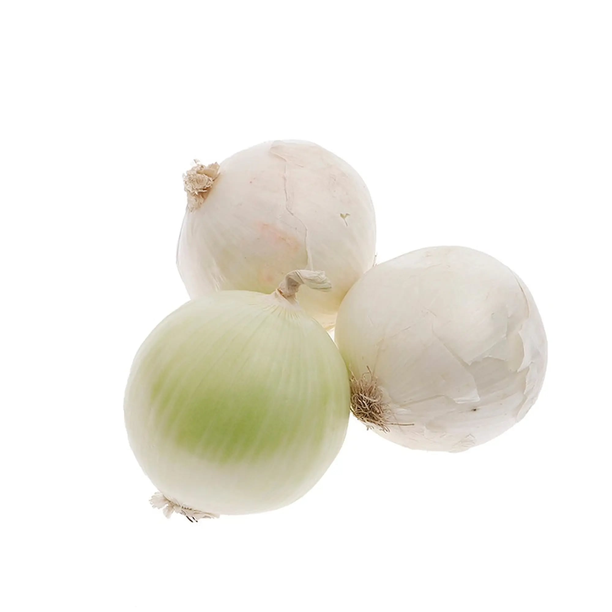 Onion - white