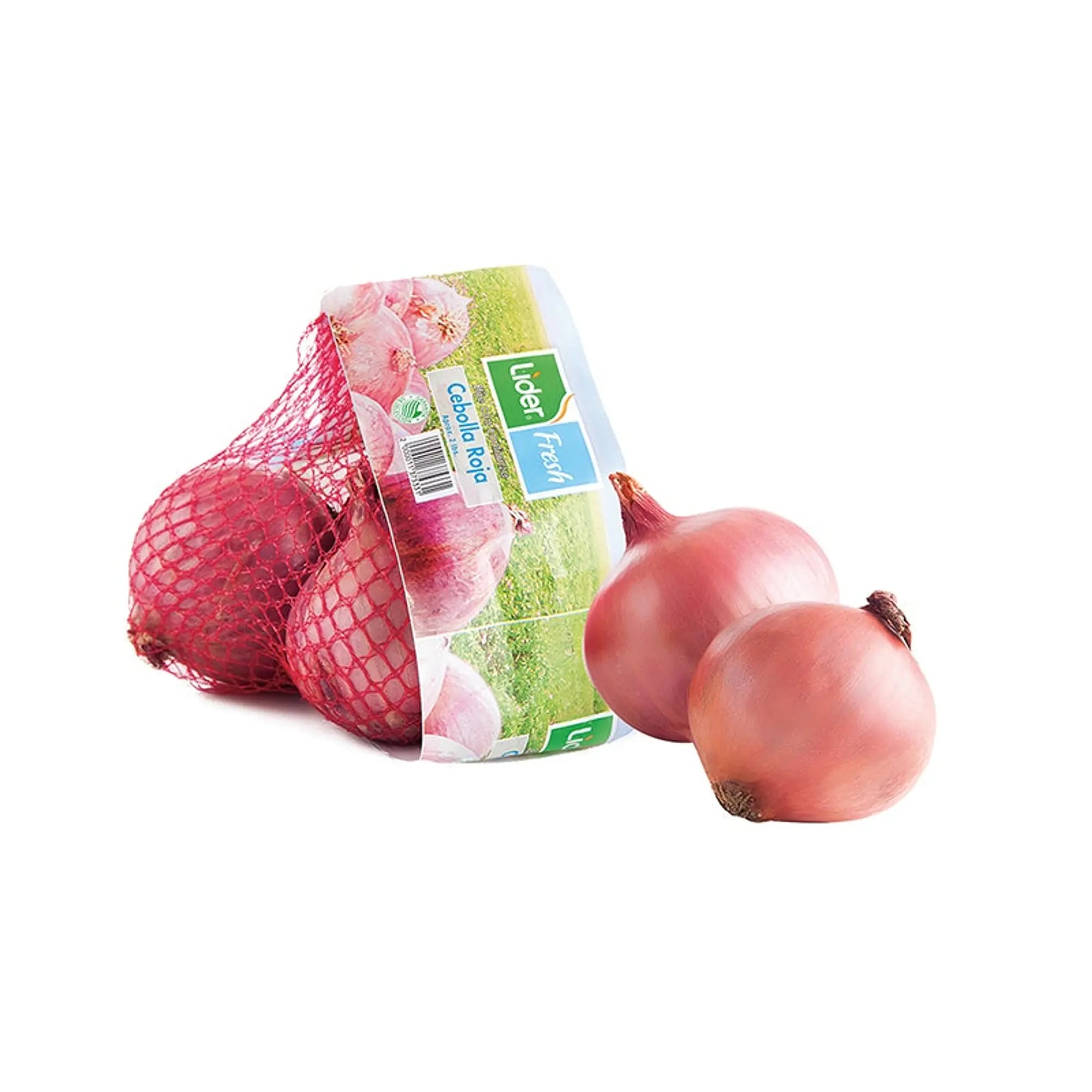 Onion - red