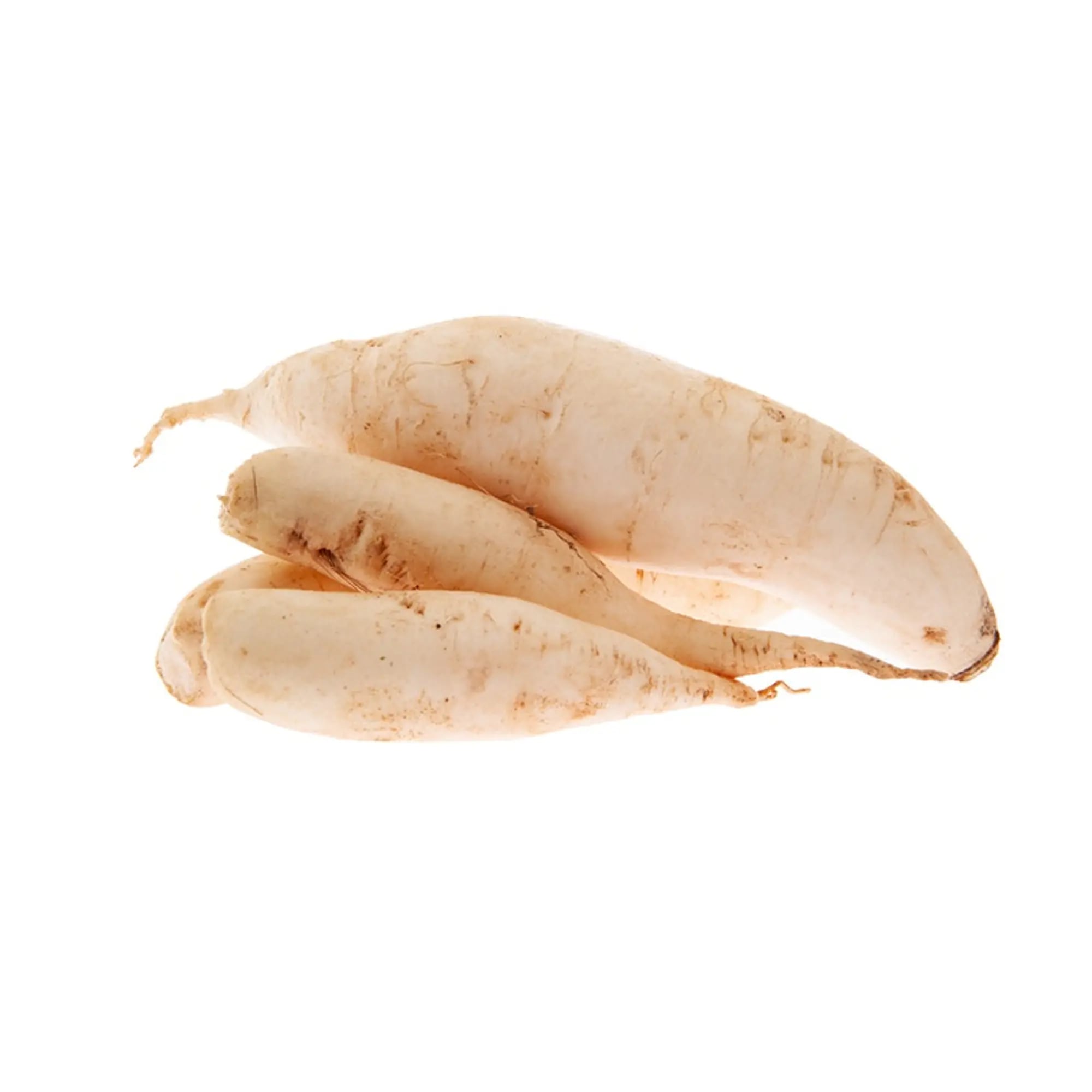 Turnip