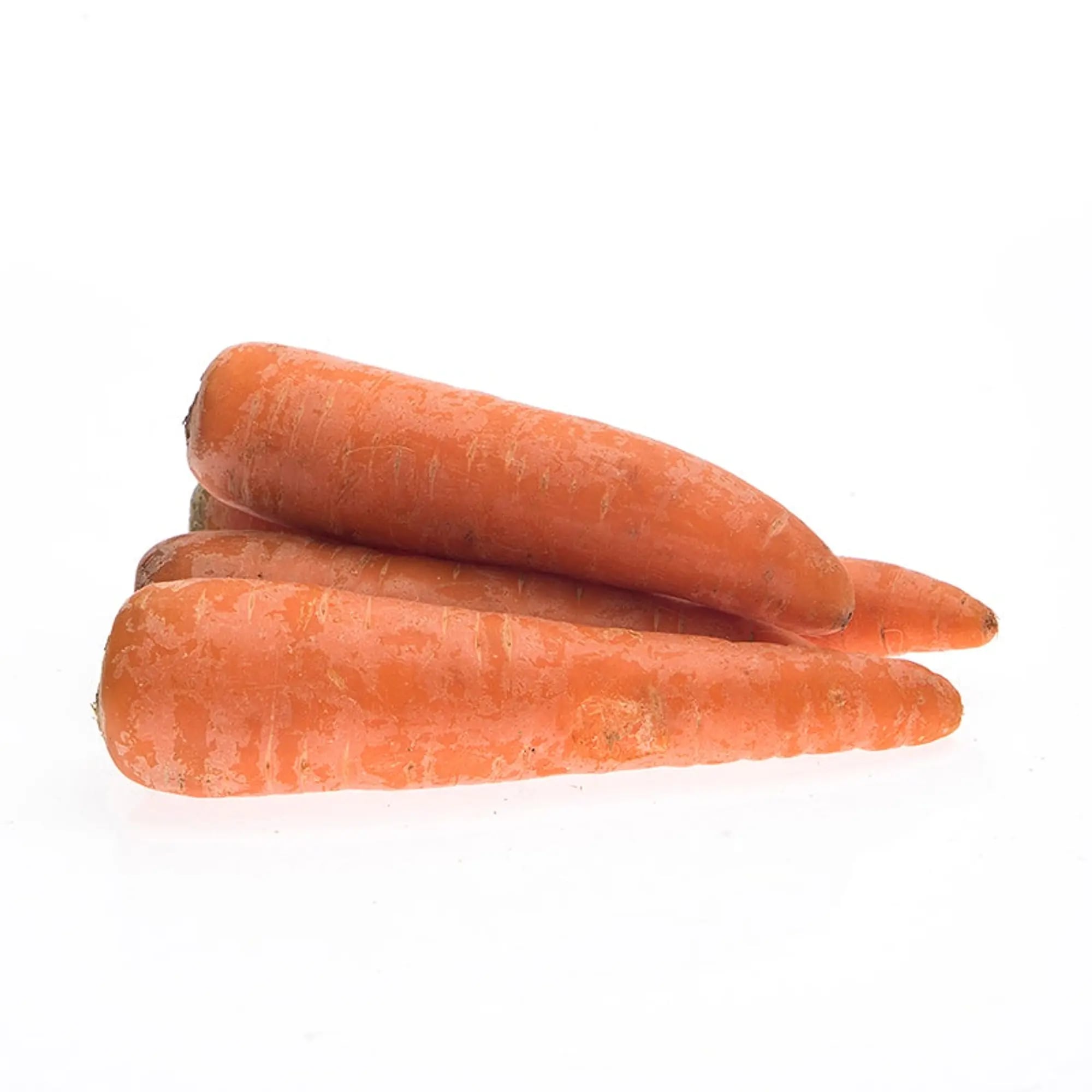 Carrot