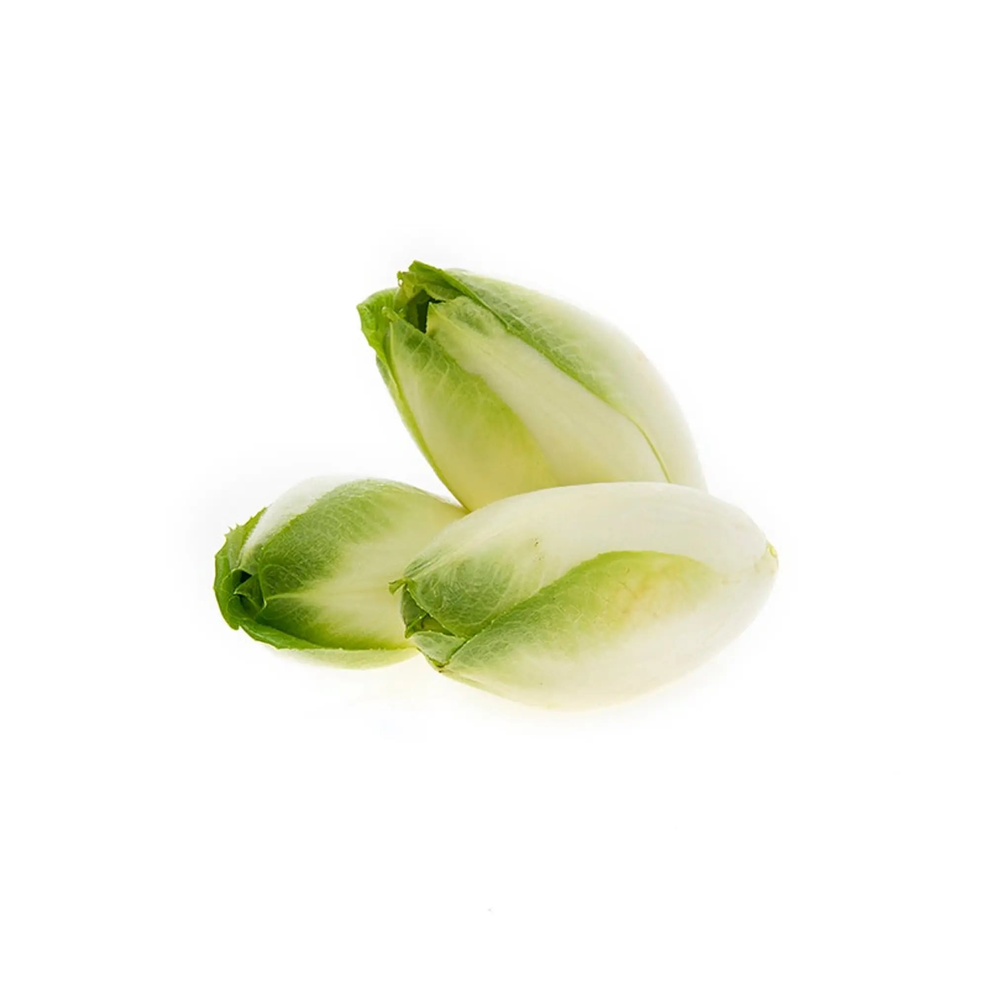 Endive