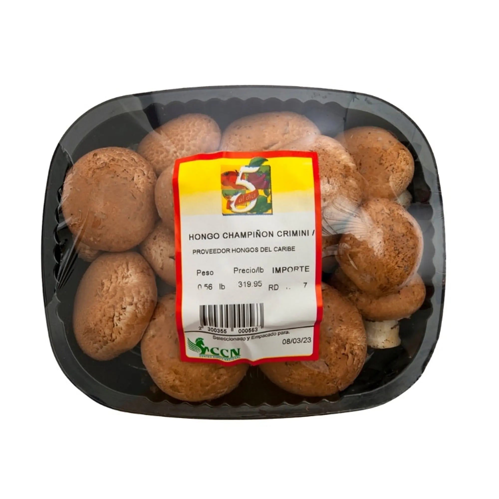 Mushroom - portobello